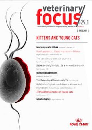Issues 29.1 Kittens and Young Cats